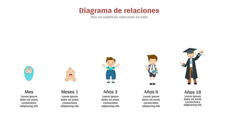 Diagrama Que Muestra Las Etapas De La Vida Del Ni O Presentaci N