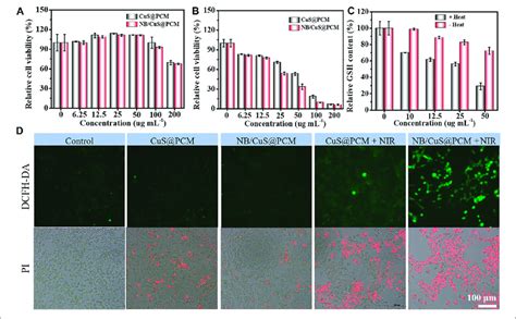 A Cytocompatibility Assay B Cytotoxicity Assay Of Nps Under