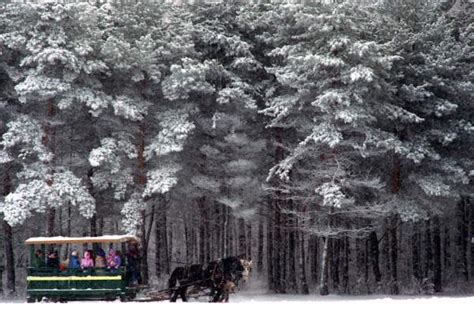 Syracuse Winter | Discover Seasonal Things to Do & Events