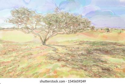 2,163 Acacia Tree Watercolor Images, Stock Photos & Vectors | Shutterstock