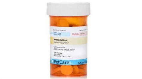 A Guide To Ciprofloxacin For Dogs The Generic Of Cipro Petcarerx