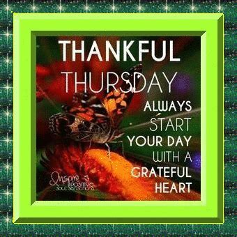 Thankful Thursday Thankful Thursday Discover Share Gifs