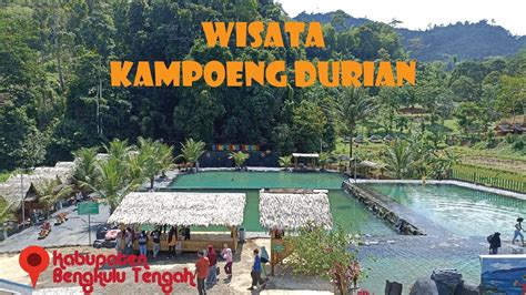 Kampoeng Durian Tempat Wisata Di Taba Penanjung Kabupaten Bengkulu