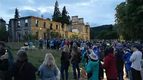 Centenas de golden retrievers se reúnem nas Highlands em evento histórico