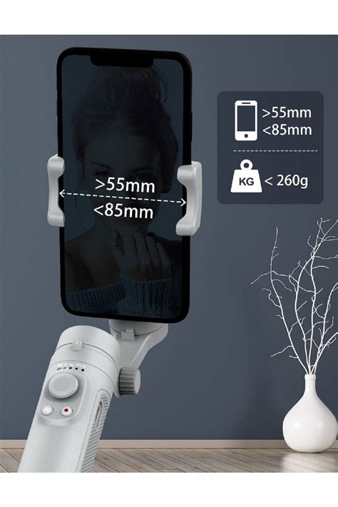 BiNtech Profesyonel Sk062 Gimbal Stabılızer Hq3 Serisi Fiyatı ...