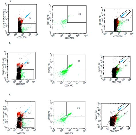 Sample Of Selected Flow Cytometric Plots For The Identification Of