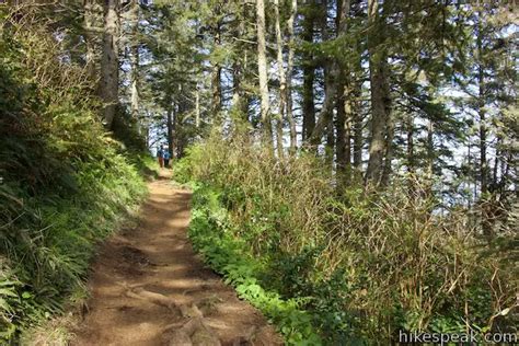 Cape Lookout Trail | Oregon | Hikespeak.com