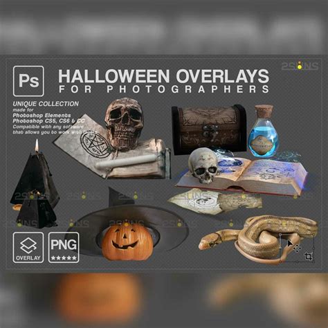 Halloween clipart Halloween overlay, Photoshop overlay - MasterBundles