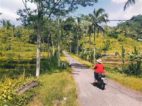 Transporte En Bali Guia De Bali