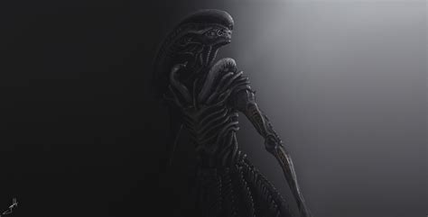 Xenomorph Wallpaper