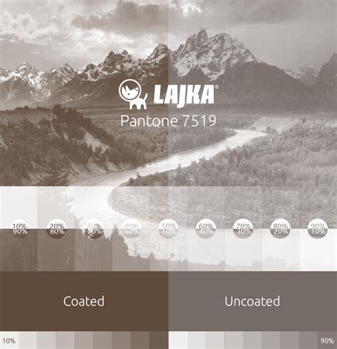 Pantone 7519 | LAJKA®