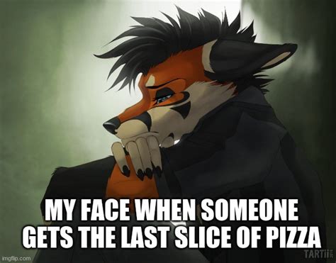 Fursona Memes Imgflip