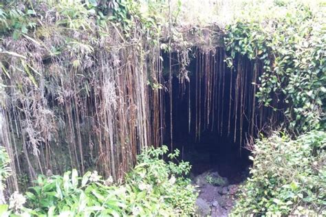 Kaumana Caves for lava tube cave hike in Hawaii on the Big Island! 🌋 ...