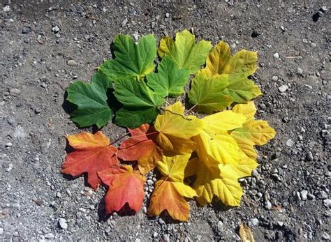 Artistic As Fuck Artisticasfuck Twitter