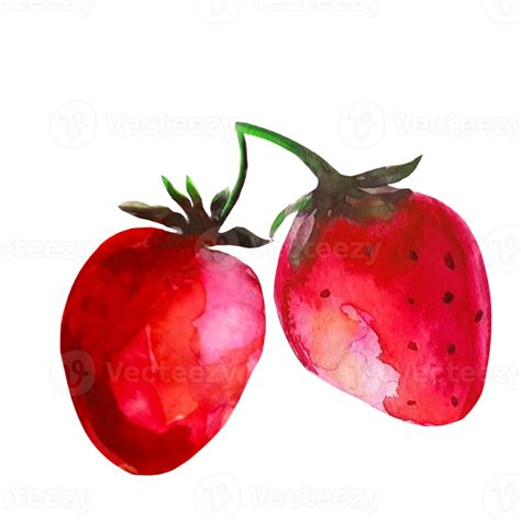 strawberry watercolor illustration 10856478 PNG