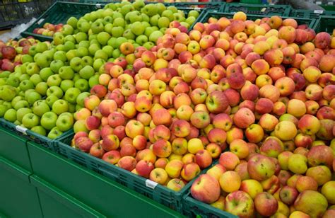 Apple Market Price Today In Delhi And Rajasthan On 08 March 2024