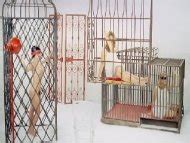 Naked Jarmila Kolenicová in L éden et après