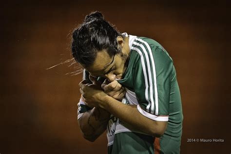 BRASILEIRO A 2014 PALMEIRAS X CHAPECOENSE SAO PAULO SP Flickr