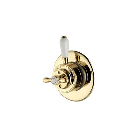 Gold Shower Thermostat Transparent Png Stickpng