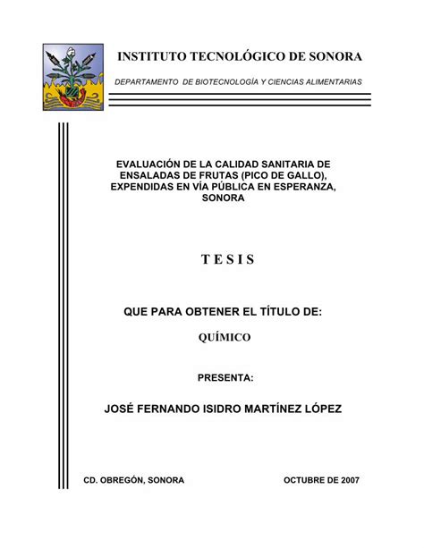 Pdf T E S I Sbiblioteca Itson Mx Dac New Tesis Martinez Jose