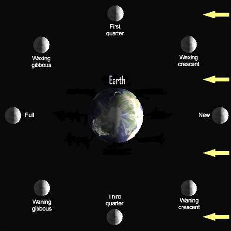 news sciences: Moon and Venus adorn the morning September 13 to 15