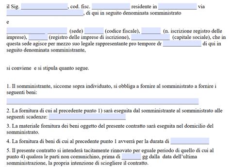 Fac Simile Contratto Di Fornitura Word E Pdf