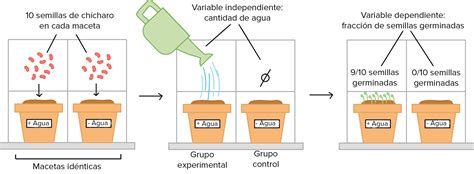 El Diseño Experimental Cásico Flowchart