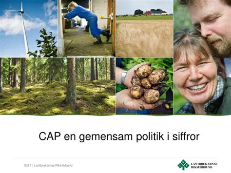 PPT CAP En Gemensam Politik I Siffror PowerPoint Presentation Free