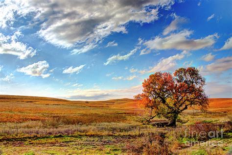 Autumn In The Flint Hills Photograph By Jean Hutchison Fine Art America