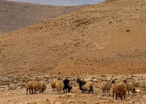 A New Long Distance Hiking Trail By North Lebanon Traveler