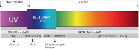 Filtro De Luz Azul Qu Es Y Por Qu Es Necesario En Pantallas Y Monitores