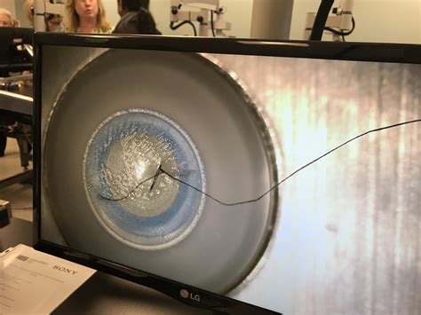 MWC Chapter Visits Wilmer Eye Center at Johns Hopkins University