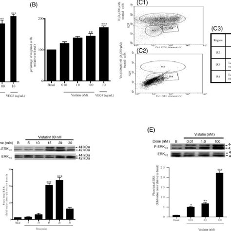 Involvement Of VEGF PI3K And MAPK Signalling Pathways In