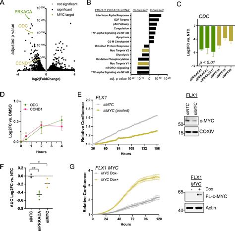 Oncogenic Pka Signaling Increases C Myc Protein Expression Through