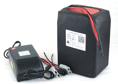 48V 25Ah Lithium LiFePO4 Battery Pack For 1000W 1500W 48V Motor Scooter