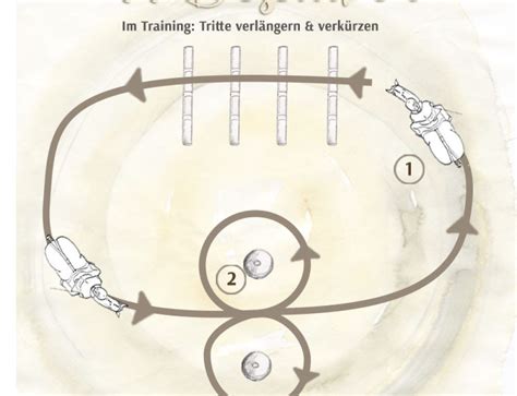 15 Im Stangentraining Galopparbeit Angelika Graf Verlag