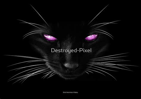 "Purple Cat Eyes" by Destroyed-Pixel | Redbubble