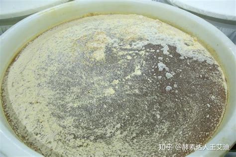 收藏 食用酵素的主要发酵方式及微生物有哪些？ 知乎