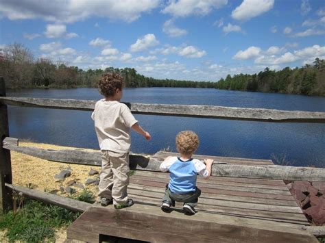 Explore Wharton State Forest Batsto Village with Your Kids – Jersey Family Fun