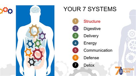 The Real Cause Of Your Weight And Health Struggles The Systems Plan