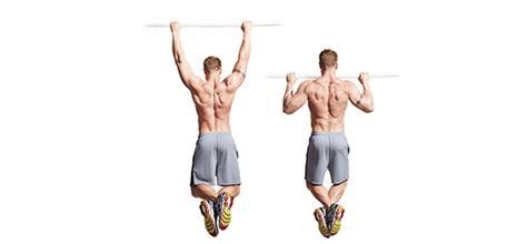pull ups chin ups  variations tbn labs dietary supplement