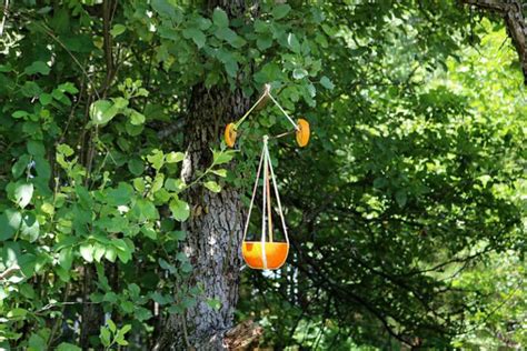 14 DIY Oriole Feeder Plans You Can Build Today With Pictures House