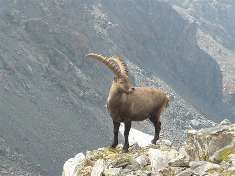 Sattal Alpe Da Alagna Escursionismo Camminata A Alagna Valsesia