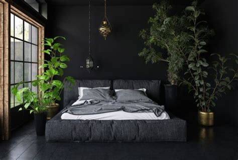 15 Proper Ideas To Decorate Bedroom Plants Decor In 2019 - TheGardenGranny