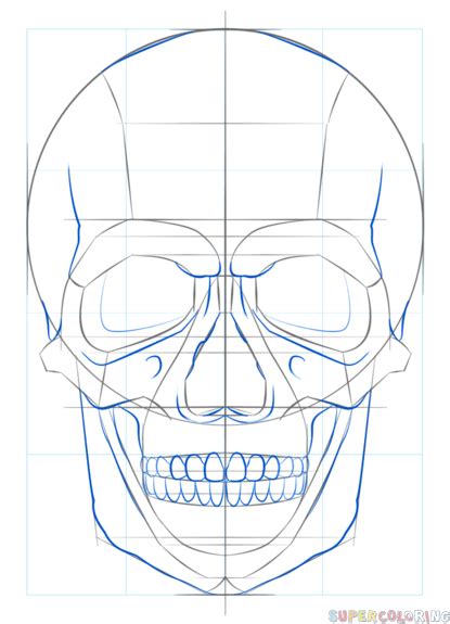 How To Draw A Human Skull Step By Step Drawing Tutorials