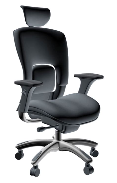 Ergolux Ergonomic Genuine Leather Executive Chair / GMVAPLB - GM Seating
