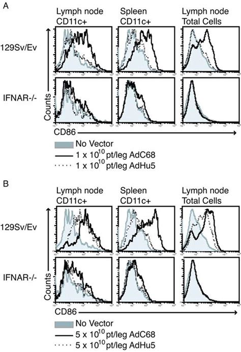 Dendritic Cell Maturation But Not Cd8 T Cell Induction Is Dependent