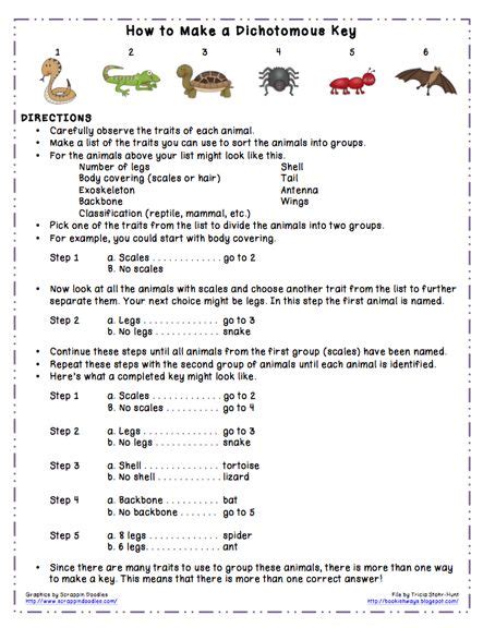 Teacher Resources Dichotomous Key I M A Mad Scientist Dichotomous Key Sixth Grade Science