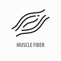 Muscle Nutrition Protein Logo Line Royalty Free Vector Image