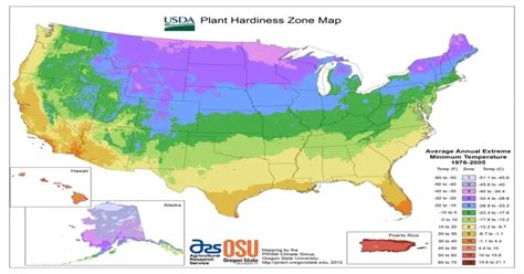 Understanding Usda Hardiness Zones Giy Plants